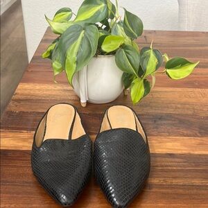 Franco Sarto Black Mules Sleek Textured Design